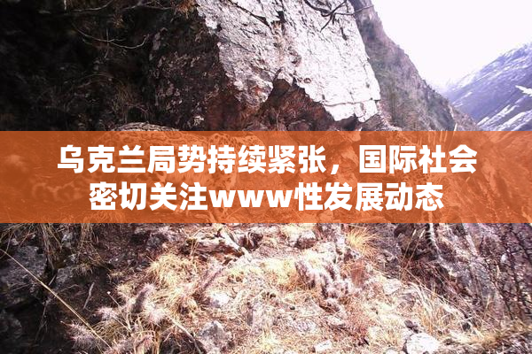乌克兰局势持续紧张，国际社会密切关注www性发展动态