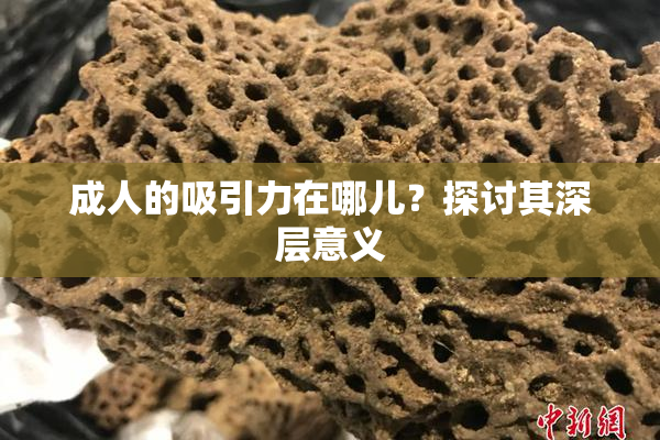 成人的吸引力在哪儿？探讨其深层意义