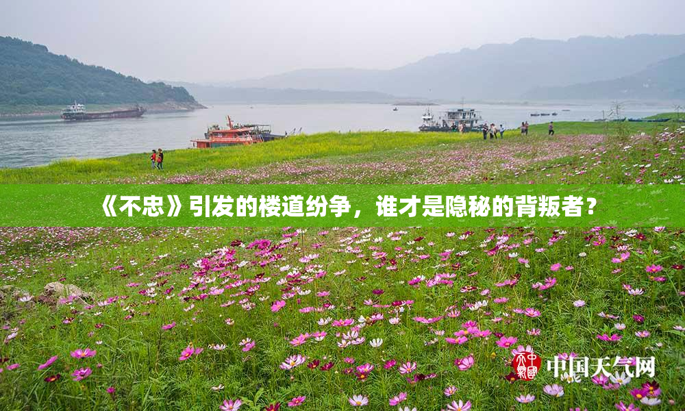 《不忠》引发的楼道纷争，谁才是隐秘的背叛者？
