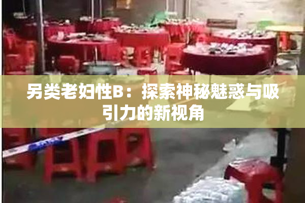 另类老妇性B：探索神秘魅惑与吸引力的新视角