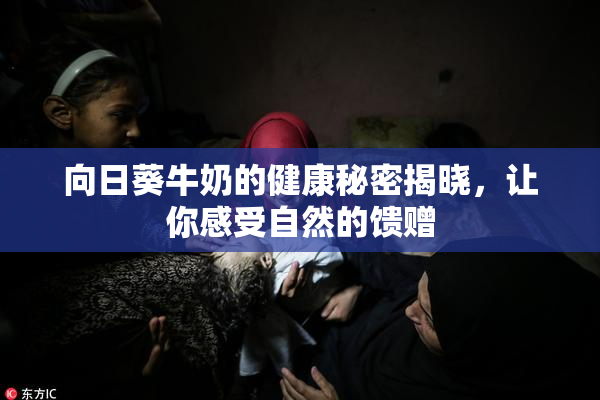 向日葵牛奶的健康秘密揭晓，让你感受自然的馈赠