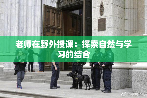 老师在野外授课：探索自然与学习的结合