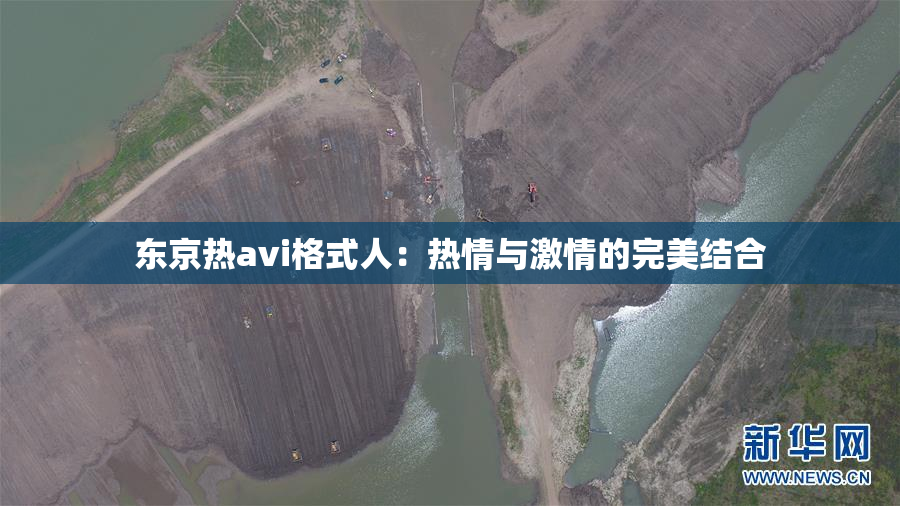 东京热avi格式人：热情与激情的完美结合