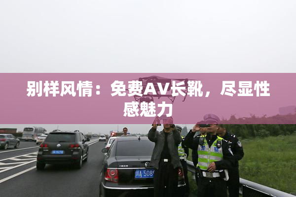 别样风情：免费AV长靴，尽显性感魅力