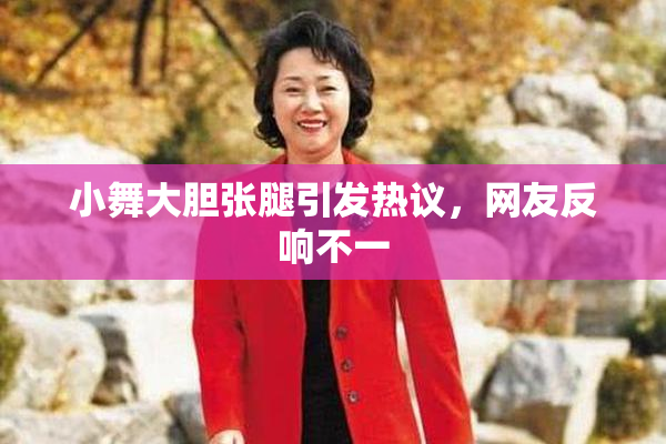 小舞大胆张腿引发热议，网友反响不一