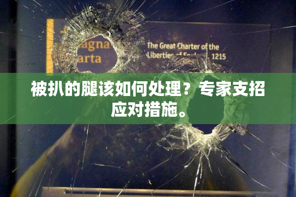 被扒的腿该如何处理？专家支招应对措施。