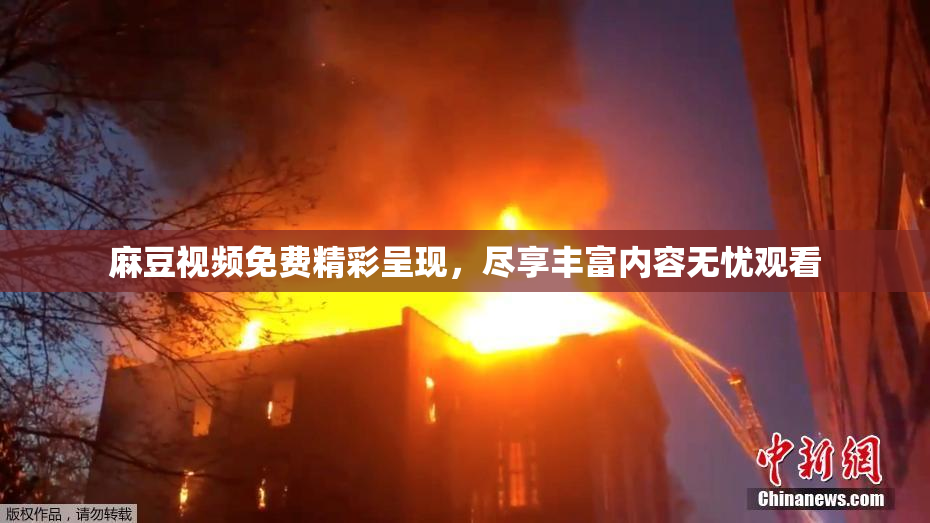 麻豆视频免费精彩呈现，尽享丰富内容无忧观看