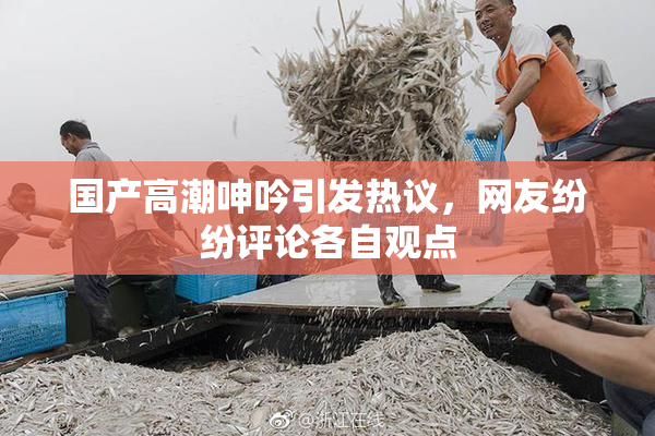 国产高潮呻吟引发热议，网友纷纷评论各自观点