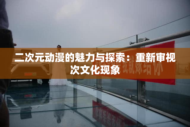 二次元动漫的魅力与探索：重新审视次文化现象