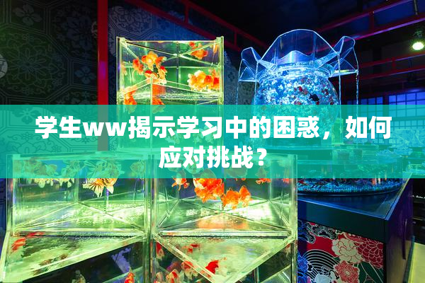 学生ww揭示学习中的困惑，如何应对挑战？