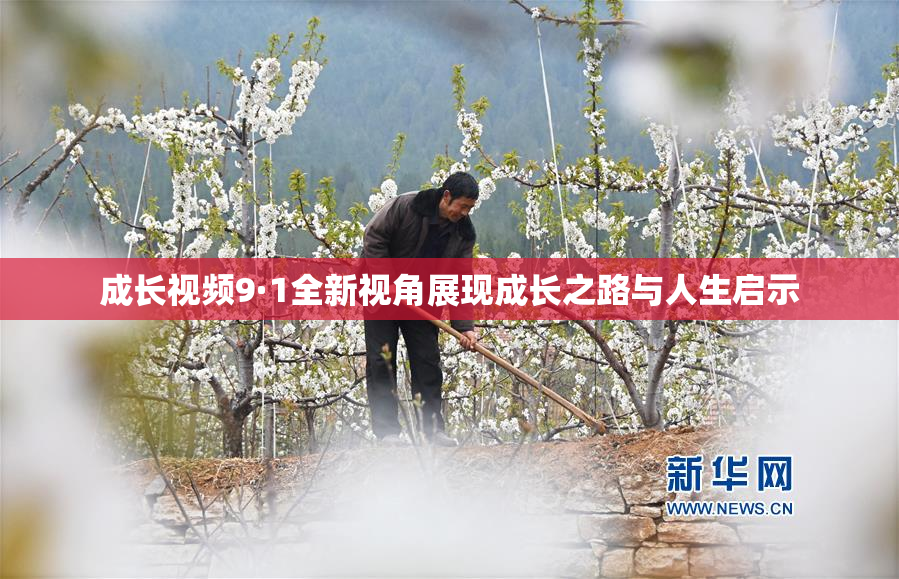 成长视频9·1全新视角展现成长之路与人生启示