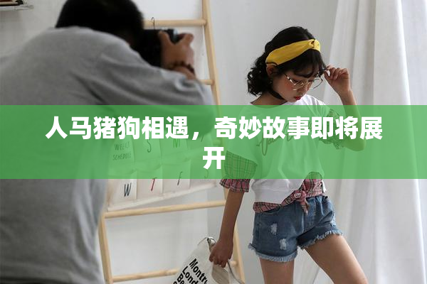 人马猪狗相遇，奇妙故事即将展开