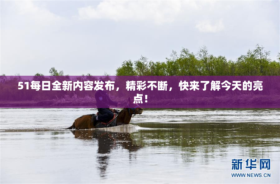 51每日全新内容发布，精彩不断，快来了解今天的亮点！