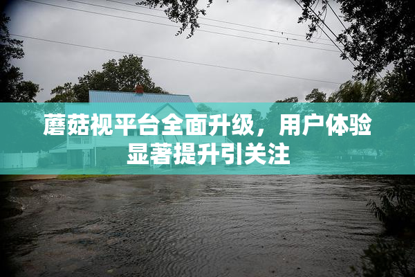 蘑菇视平台全面升级，用户体验显著提升引关注
