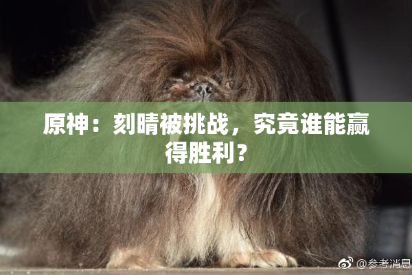 原神：刻晴被挑战，究竟谁能赢得胜利？