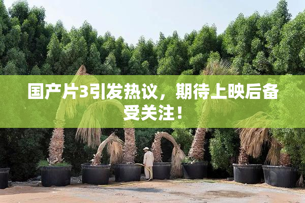 国产片3引发热议，期待上映后备受关注！