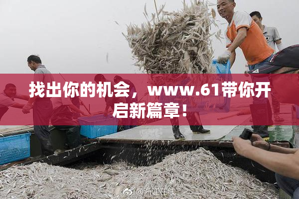 找出你的机会，www.61带你开启新篇章！