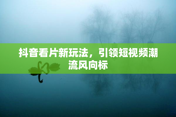 抖音看片新玩法，引领短视频潮流风向标