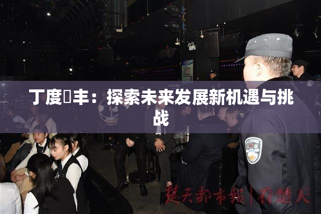 丁度巜丰：探索未来发展新机遇与挑战