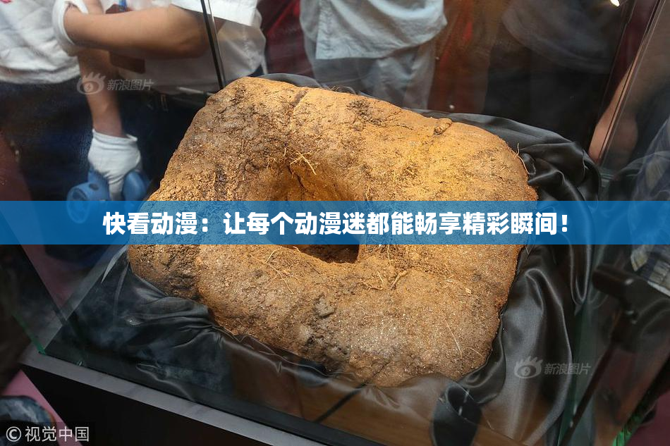 快看动漫：让每个动漫迷都能畅享精彩瞬间！