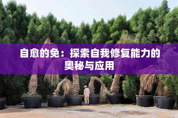 自愈的免：探索自我修复能力的奥秘与应用