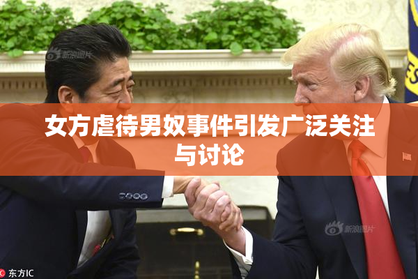 女方虐待男奴事件引发广泛关注与讨论