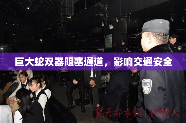 巨大蛇双器阻塞通道，影响交通安全