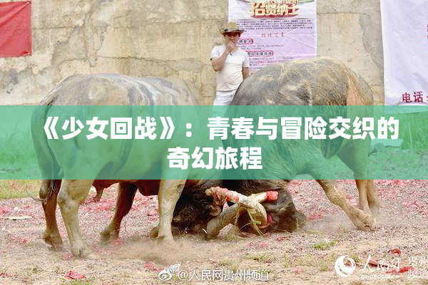 《少女回战》：青春与冒险交织的奇幻旅程