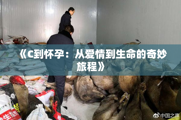 《C到怀孕：从爱情到生命的奇妙旅程》
