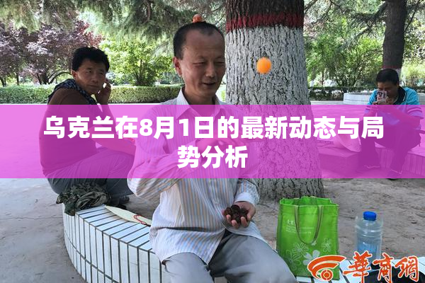 乌克兰在8月1日的最新动态与局势分析