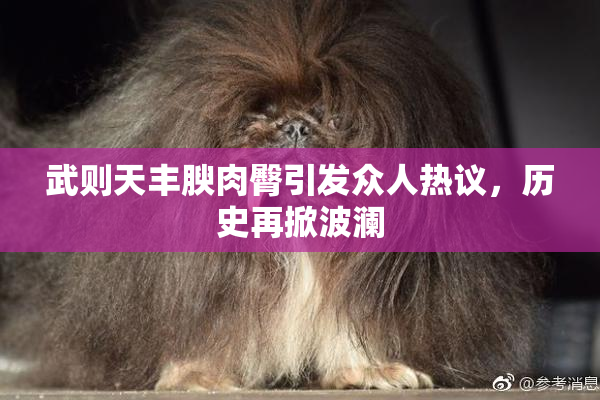 武则天丰腴肉臀引发众人热议，历史再掀波澜