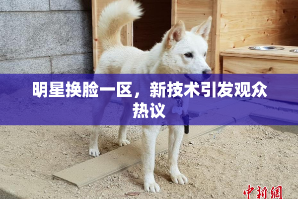 明星换脸一区，新技术引发观众热议