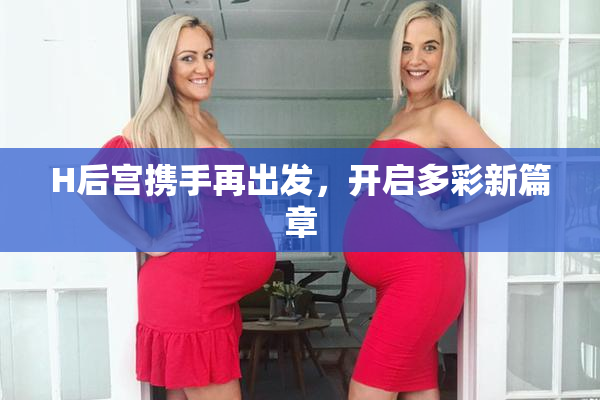 H后宫携手再出发，开启多彩新篇章