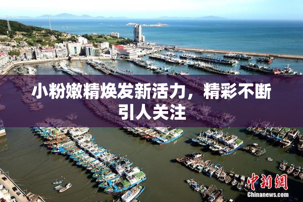 小粉嫩精焕发新活力，精彩不断引人关注