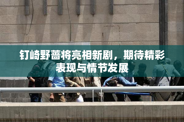 钉崎野蔷将亮相新剧，期待精彩表现与情节发展
