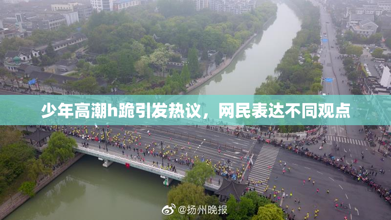少年高潮h跪引发热议，网民表达不同观点