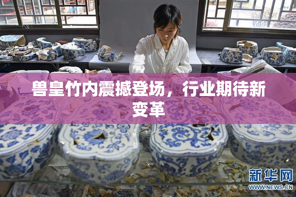 兽皇竹内震撼登场，行业期待新变革