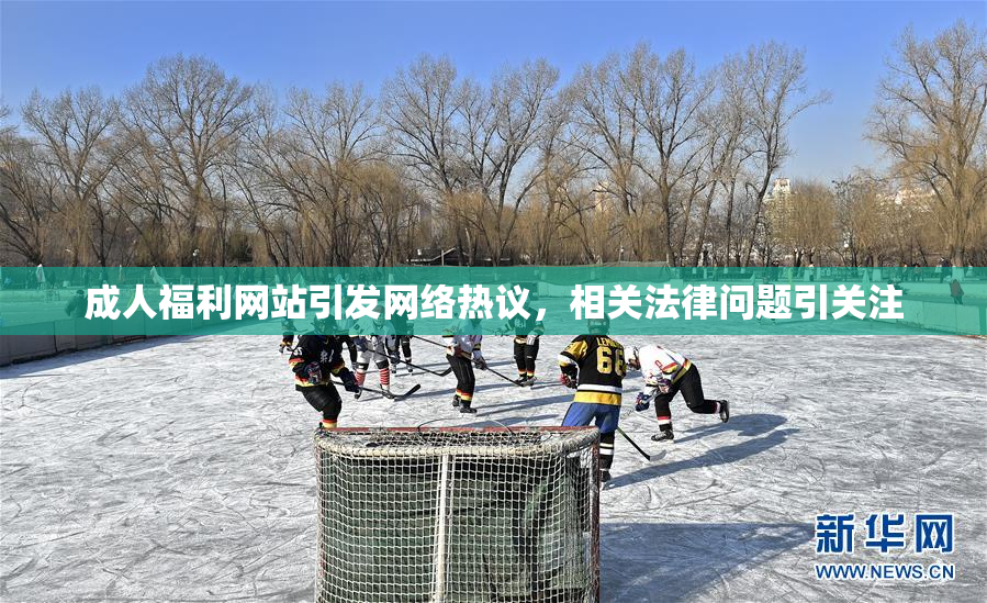 成人福利网站引发网络热议，相关法律问题引关注
