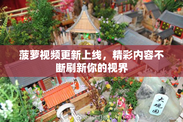 菠萝视频更新上线，精彩内容不断刷新你的视界