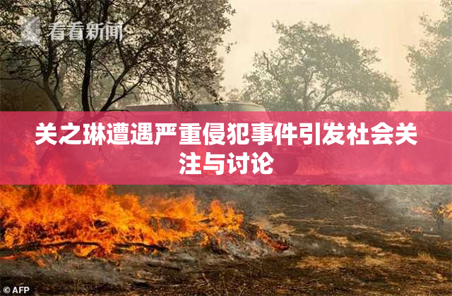 关之琳遭遇严重侵犯事件引发社会关注与讨论