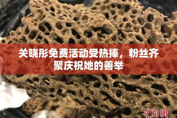 关晓彤免费活动受热捧，粉丝齐聚庆祝她的善举