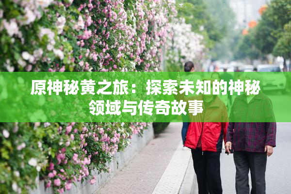 原神秘黄之旅：探索未知的神秘领域与传奇故事