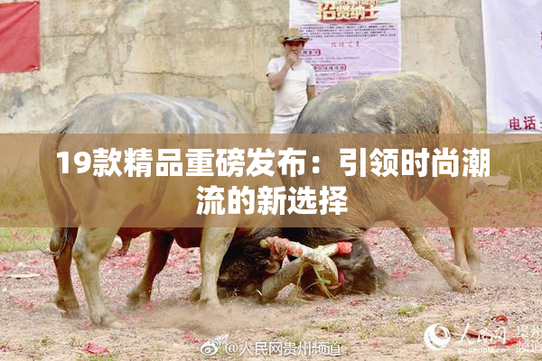 19款精品重磅发布：引领时尚潮流的新选择