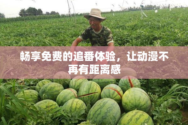 畅享免费的追番体验，让动漫不再有距离感