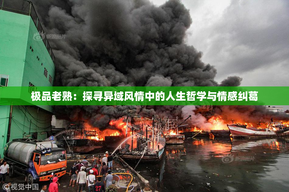 极品老熟：探寻异域风情中的人生哲学与情感纠葛