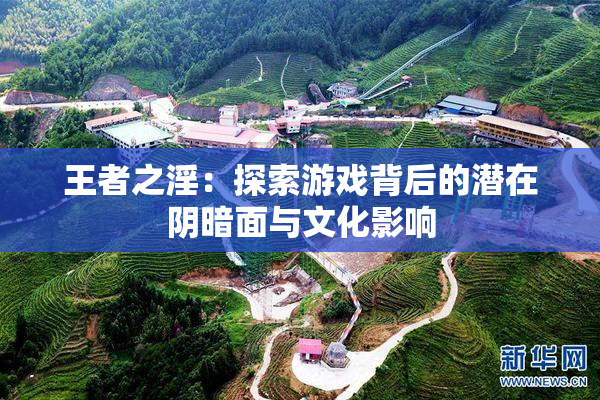 王者之淫：探索游戏背后的潜在阴暗面与文化影响