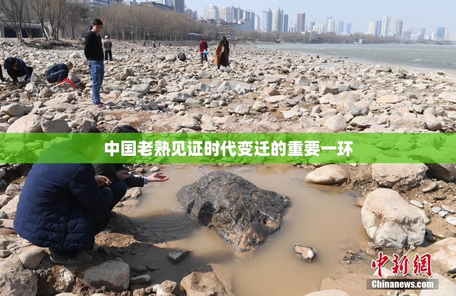 中国老熟见证时代变迁的重要一环