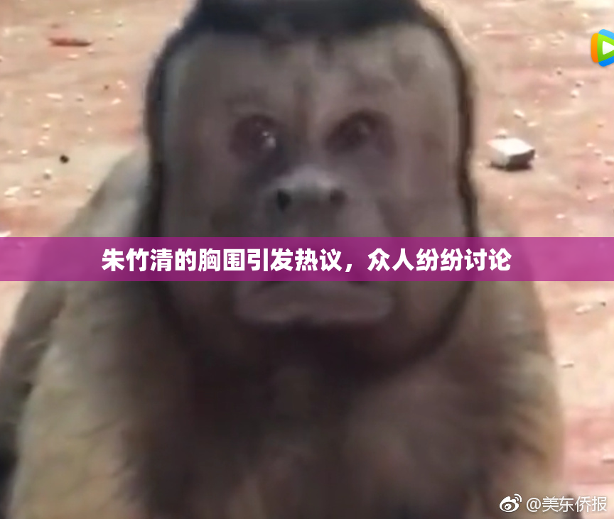 朱竹清的胸围引发热议，众人纷纷讨论