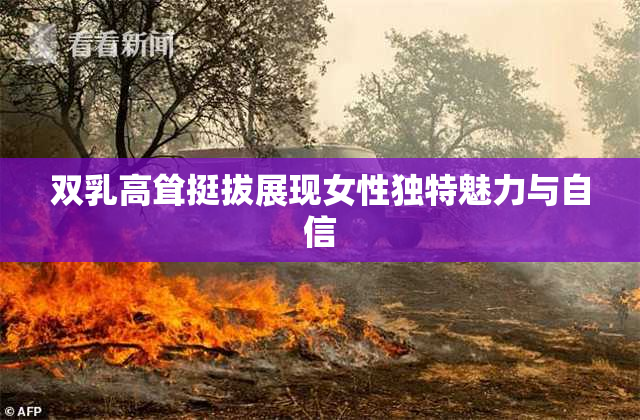 双乳高耸挺拔展现女性独特魅力与自信