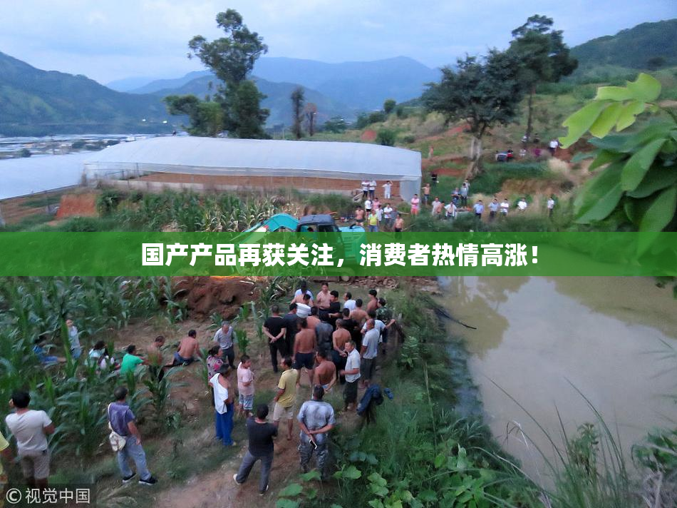 国产产品再获关注，消费者热情高涨！